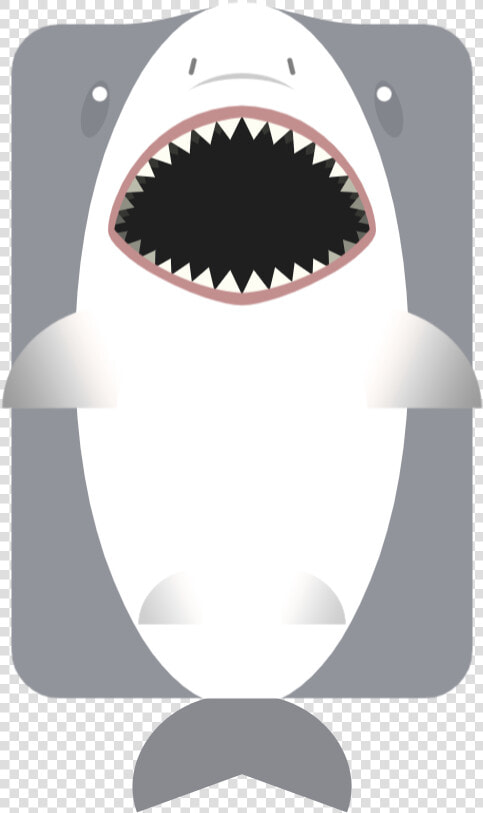 Squaliformes  HD Png DownloadTransparent PNG