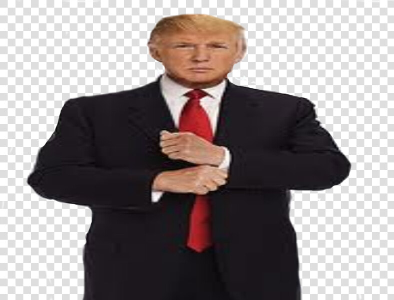 Donald Trump Full Body Png   Transparent Png Full Body Trump  Png DownloadTransparent PNG