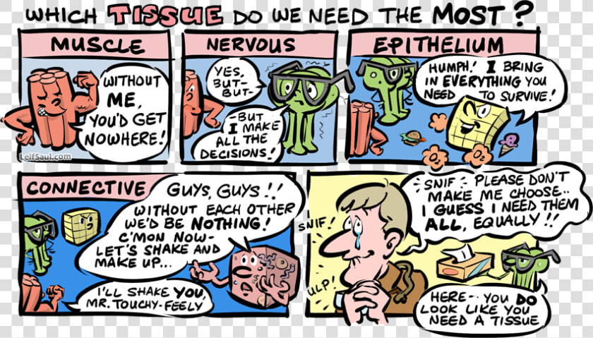 Which Tissue Do We Need The Most   Comic Strips About Connective Tissue  HD Png DownloadTransparent PNG