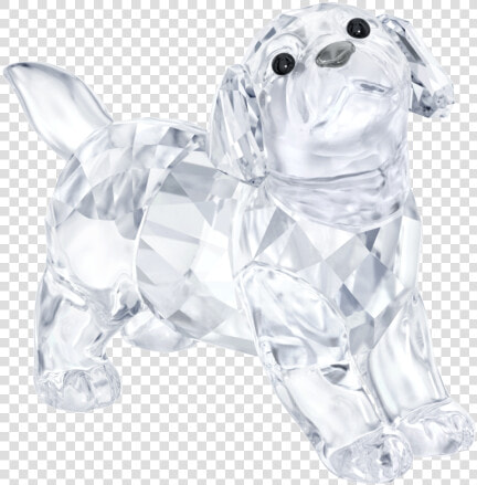 Swarovski Collections Labrador Puppy  Standing   Swarovski Labrador  HD Png DownloadTransparent PNG