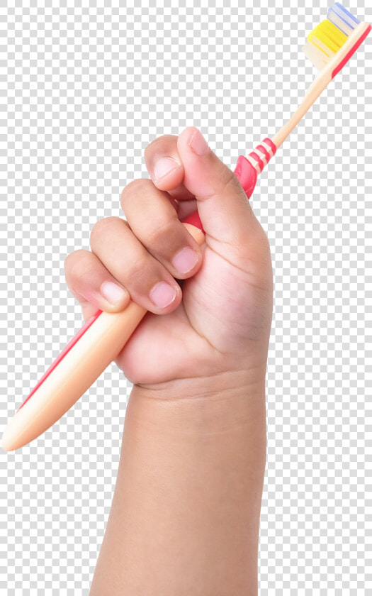 Child Hand Holding Toothbrush  HD Png DownloadTransparent PNG