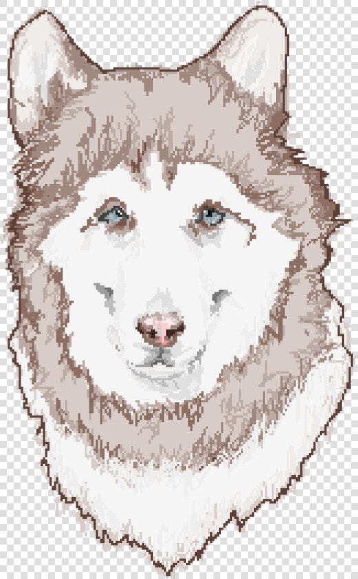 Mackenzie River Husky  HD Png DownloadTransparent PNG