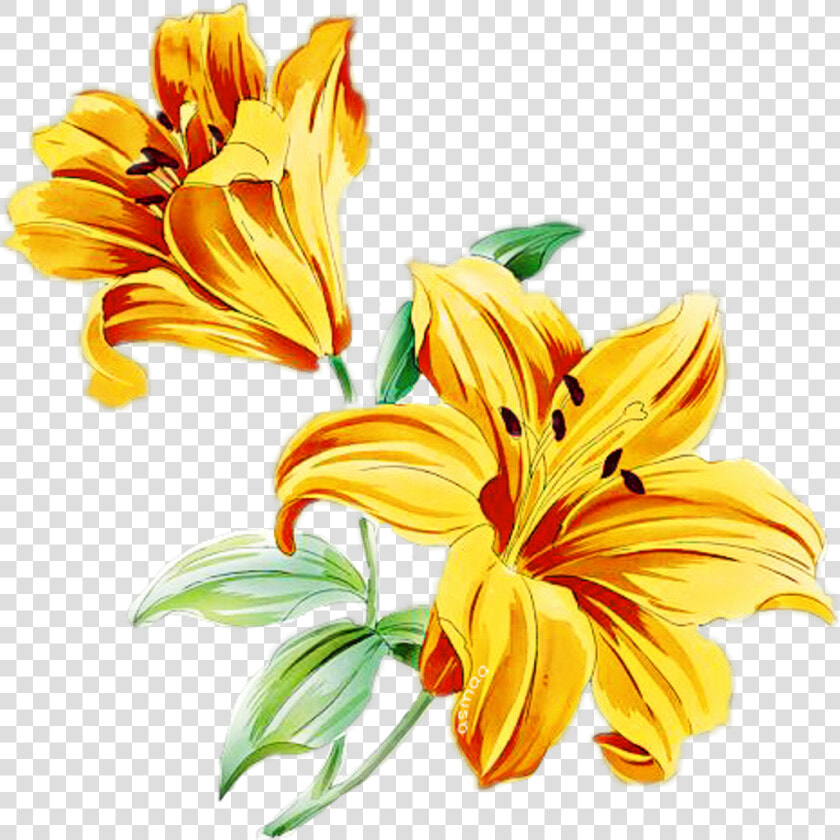 Flower Flowerbranch Flowercrown Rosesarebeautiful Yello   Watercolor Yellow Flower Png  Transparent PngTransparent PNG