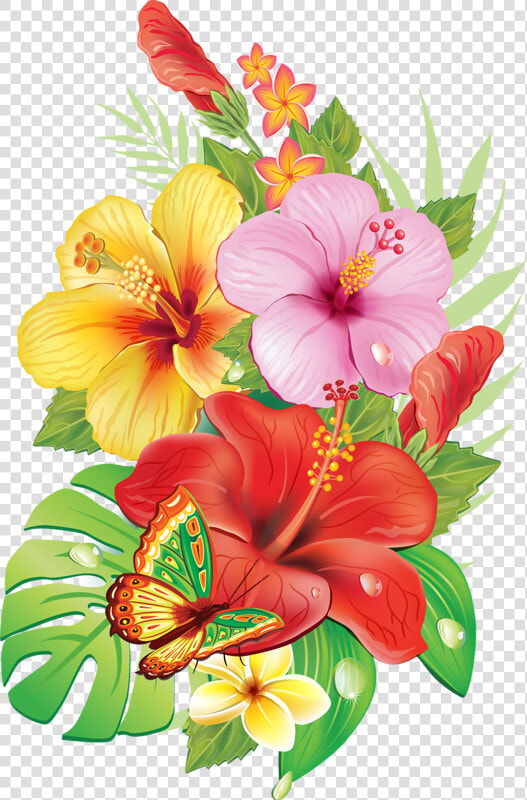 Free Download Images Of Beautiful Flowers   Free Tropical Flower Vector  HD Png DownloadTransparent PNG