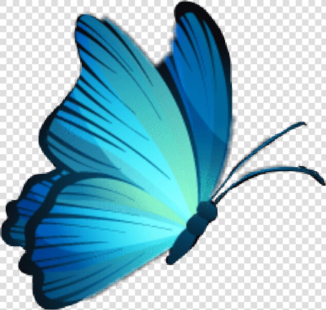  mariposa  butterfly  celeste  azul  blue  skyblue   Mariposas Celestes Png  Transparent PngTransparent PNG