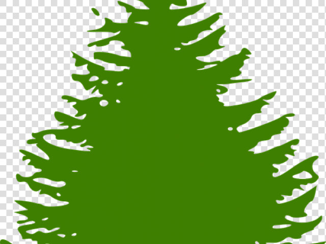 Fir Tree Clipart Forrest Tree   Evergreen Tree Silhouette Png  Transparent PngTransparent PNG