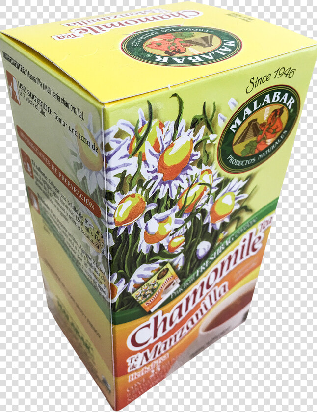 Chamomile  HD Png DownloadTransparent PNG