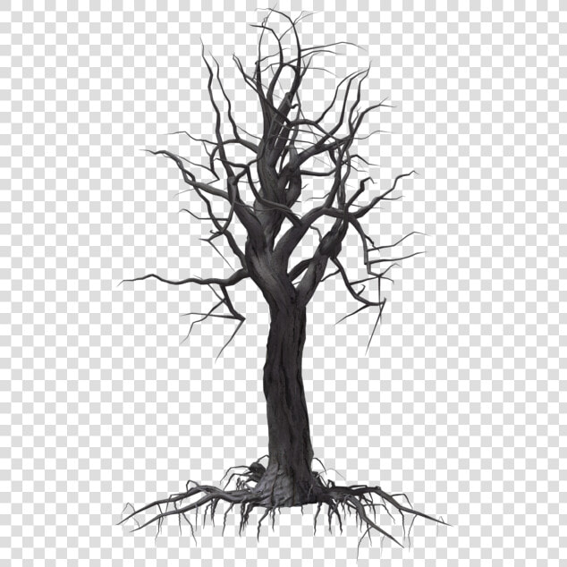 Creepy Tree 04 By Wolverine041269 On Clipart Library   Trees  HD Png DownloadTransparent PNG