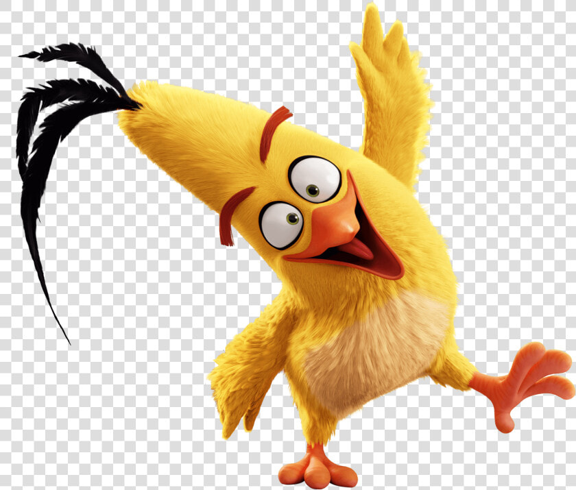 Angry Birds Chuck   Angry Birds Movie Png  Transparent PngTransparent PNG