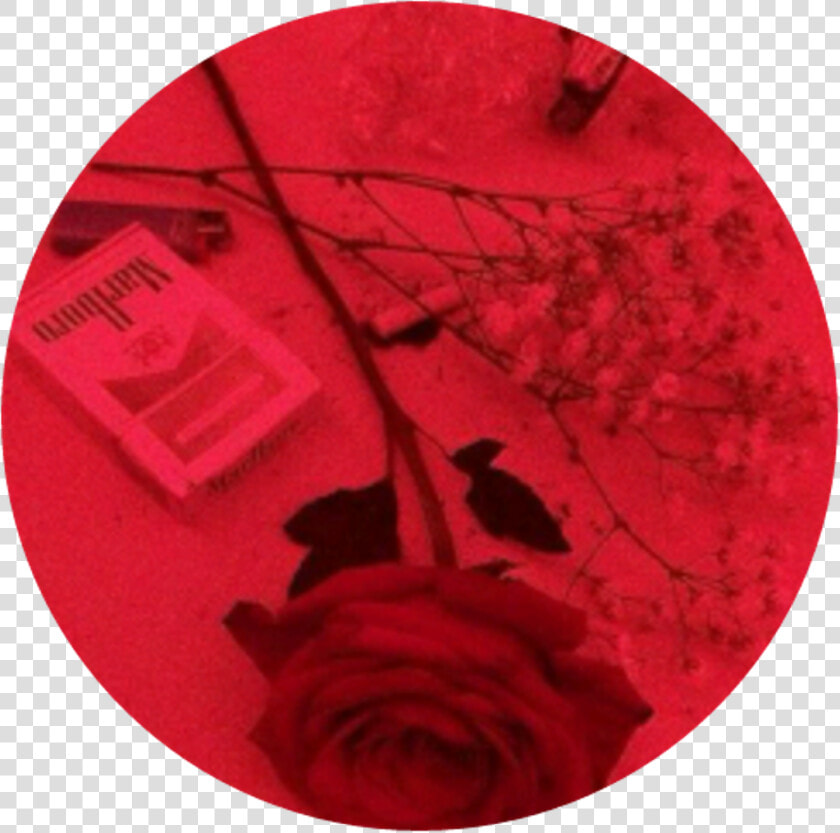 Red Rose Grunge Aesthetic Aestheticcircle Circle   Dark Depressed Sad Aesthetic  HD Png DownloadTransparent PNG