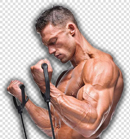 Resistance   Build Muscle With Bands  HD Png DownloadTransparent PNG