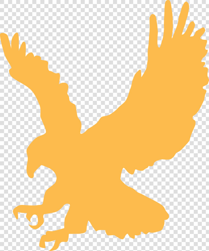 Eagle Gold Wings Animal Landing   Eagle Clip Art  HD Png DownloadTransparent PNG