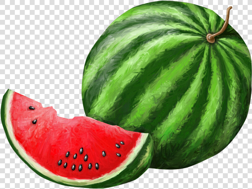 Watermelon Png Background   Watermelon  Transparent PngTransparent PNG