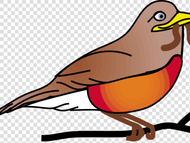 Transparent Trinidad Flag Png   Robins Birds Transparent Background  Png DownloadTransparent PNG