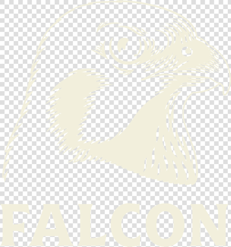 1 Falcon Logo   Falcon Beer Logo  HD Png DownloadTransparent PNG