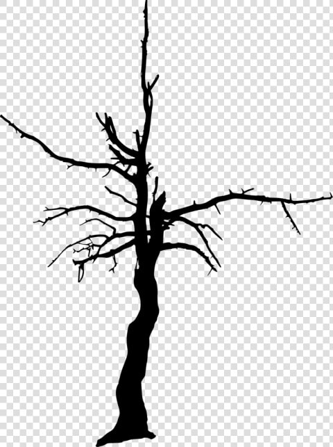 Dead Tree Silhouette Png   Dead Tree Silhouette Transparent Background  Png DownloadTransparent PNG