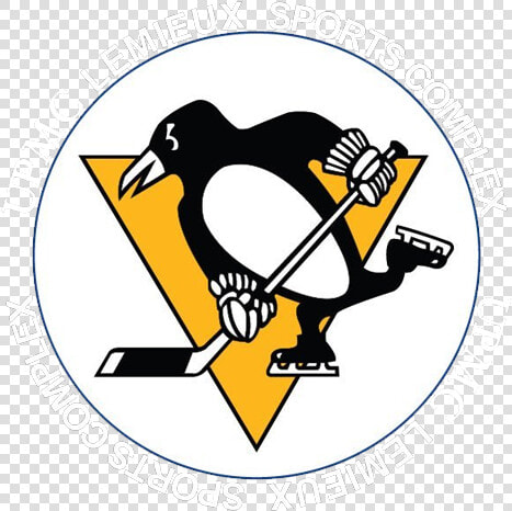 Clip Art Pittsburgh Penguins Logo  HD Png DownloadTransparent PNG