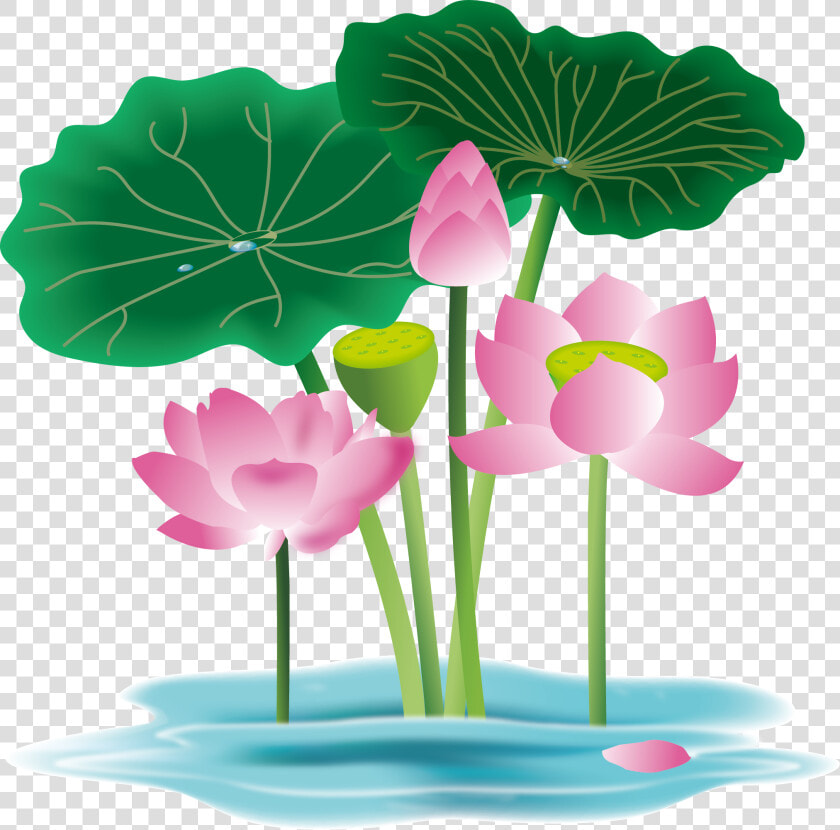 Hand Painted Flower Plant Water Lily Png And Vector  Transparent PngTransparent PNG