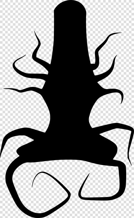 Tree  Roots  Twisted  Black  Silhouette  Plant   Akar Png  Transparent PngTransparent PNG