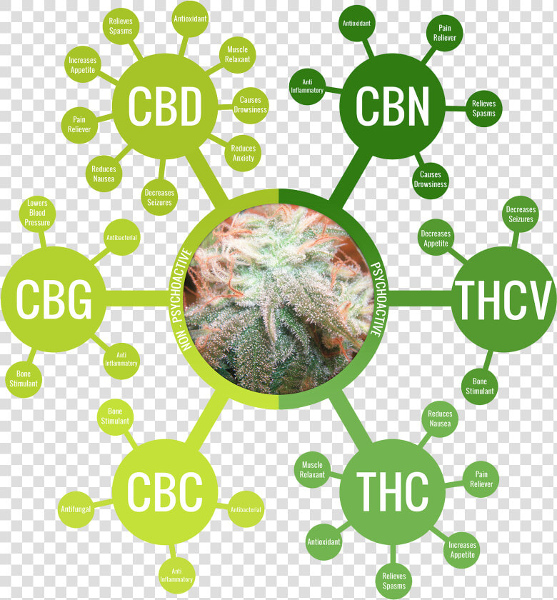 Alternatives For A Public Health Crisis And Minor Pains   Full Spectrum Cbd Isolate  HD Png DownloadTransparent PNG