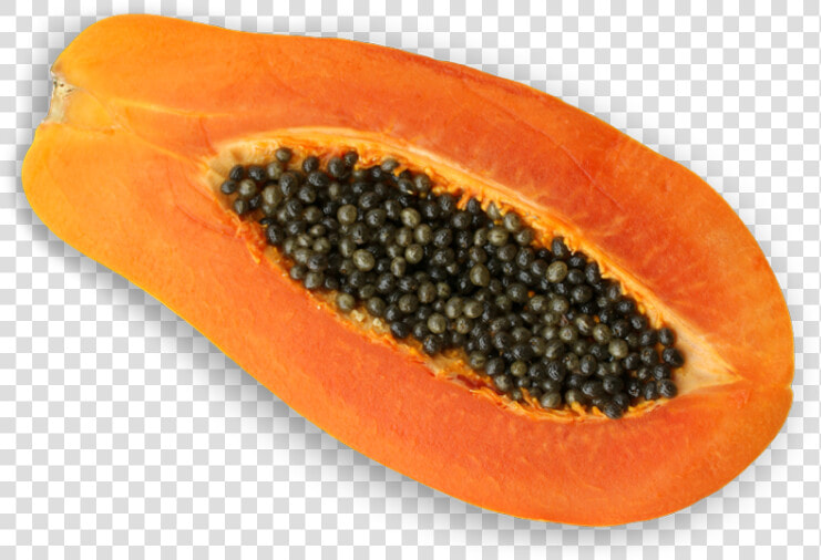 Papaya Maradol Png  Transparent PngTransparent PNG