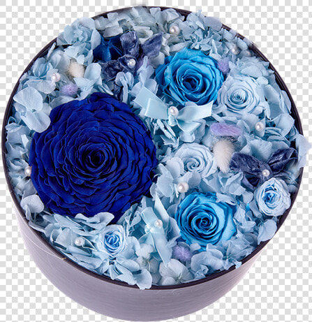 Picture Of Starry Sky   Flower Blue Box  HD Png DownloadTransparent PNG