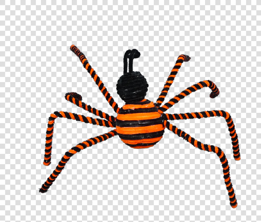 17   Araneus Cavaticus  HD Png DownloadTransparent PNG