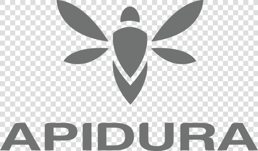 Apidura Darkgrey Rgb   Apidura Logo  HD Png DownloadTransparent PNG