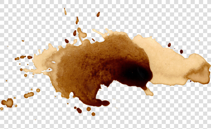 10 Coffee Stains Splatter   Watercolor Coffee Stain Png  Transparent PngTransparent PNG