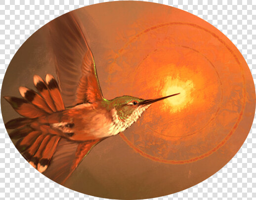 Carolina Wren  HD Png DownloadTransparent PNG