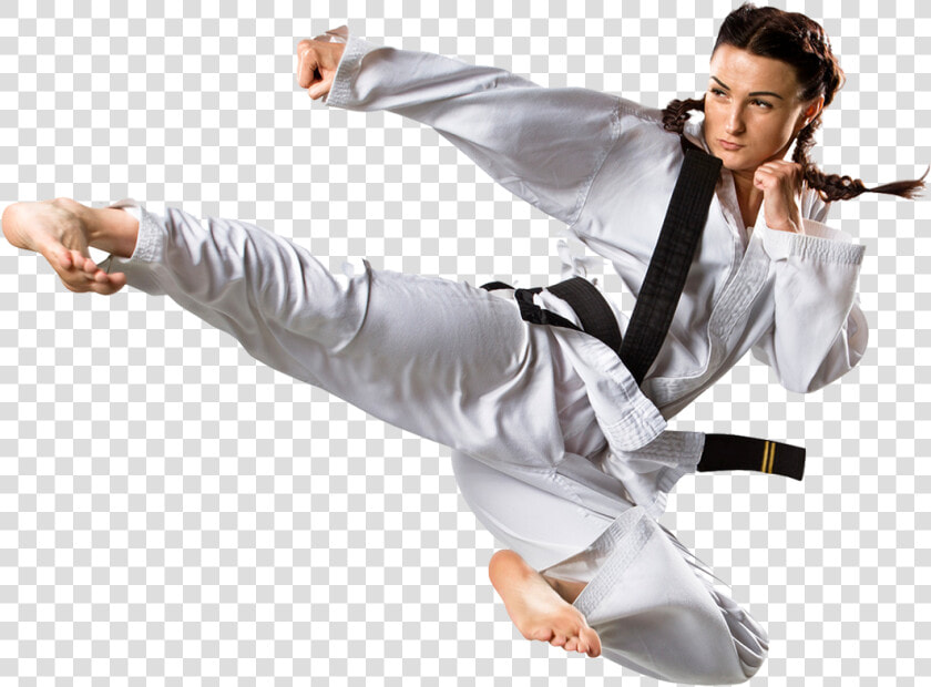 Adult Martial Arts Lady   Martial Arts Png  Transparent PngTransparent PNG