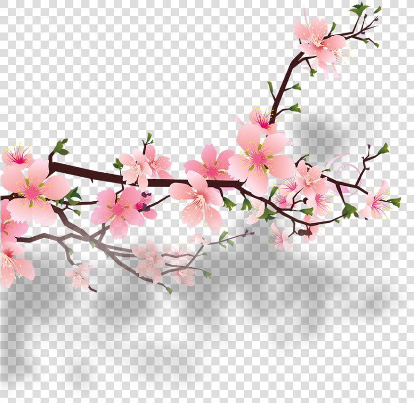  branch  tree  nature  flower  garden  plant  foreground   Peach Blossom Png  Transparent PngTransparent PNG