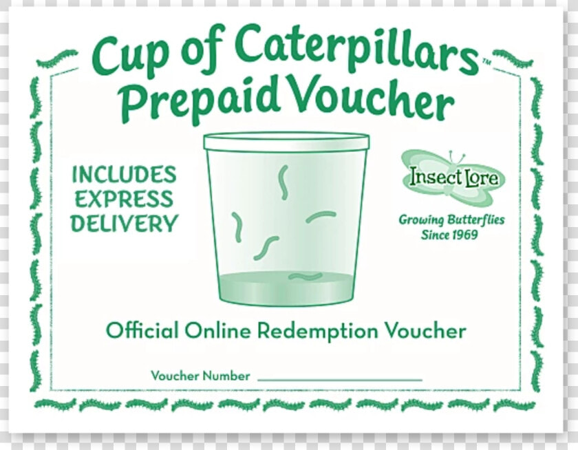 Green And White Voucher For A Cup Of 5 Caterpillars  HD Png DownloadTransparent PNG