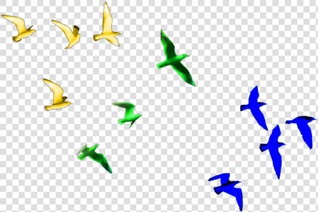  birds  colorfulbirds   Transparent Birds Flying Png  Png DownloadTransparent PNG