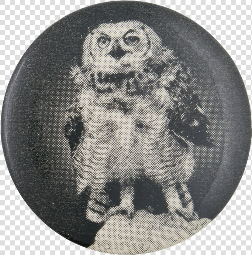 Black And White Owl Art Button Museum   Great Grey Owl  HD Png DownloadTransparent PNG