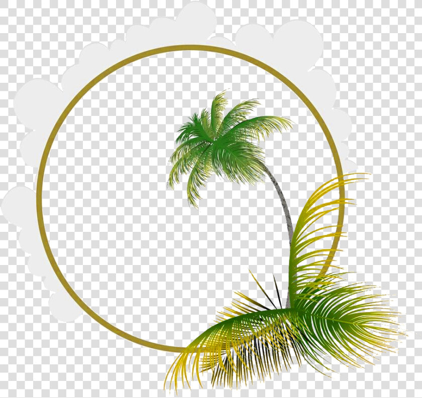 Leaf Euclidean Coconut Frame Picture Material Transprent   Coconut Tree Frame  HD Png DownloadTransparent PNG