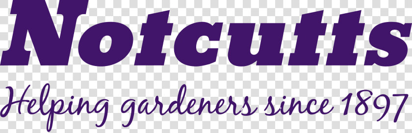 Notcutts Purple Blackjack   Notcutts Garden Centre Logo  HD Png DownloadTransparent PNG