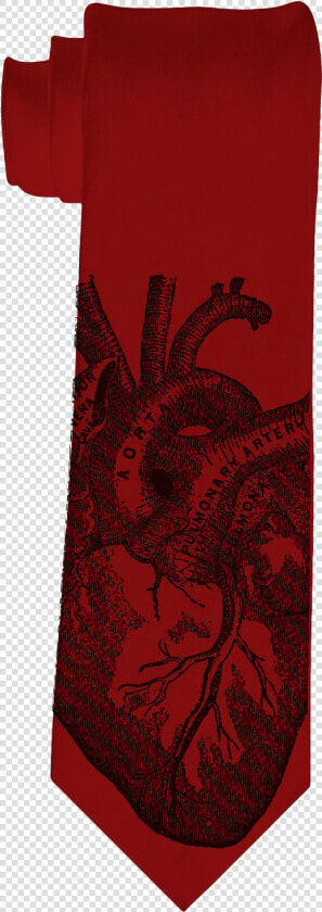 Anatomical Heart Tie  HD Png DownloadTransparent PNG