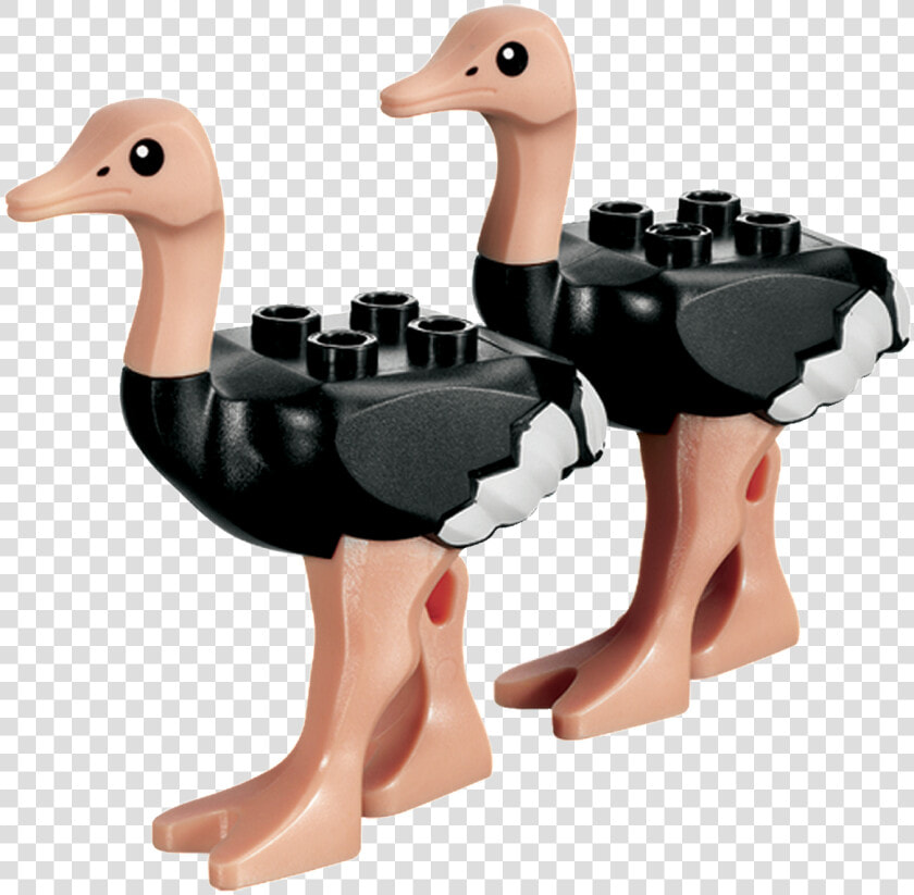 Ostrichs   Lego Ostrich  HD Png DownloadTransparent PNG