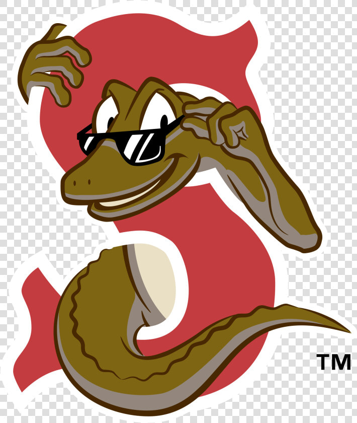 Sarasota Red Sox Logo Png Transparent   Sarasota Red Sox Logo  Png DownloadTransparent PNG