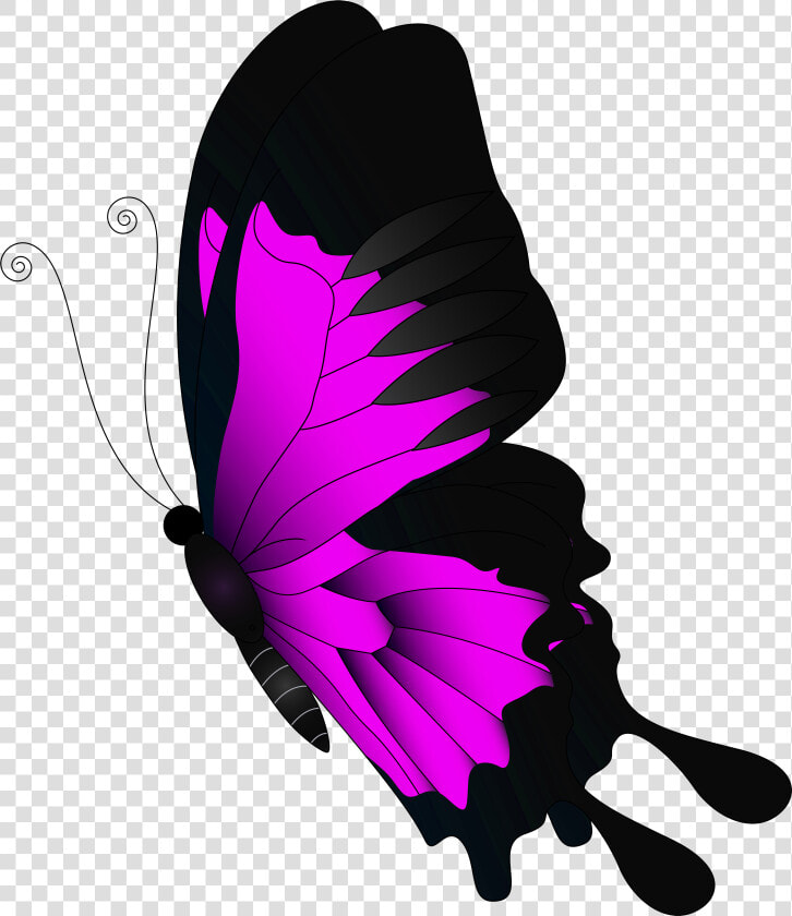 Pink Flying Butterfly Png   Red Butterfly Png Transparent  Png DownloadTransparent PNG