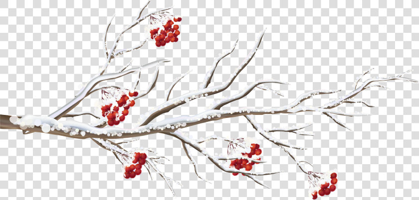 Clipart Tree Winter   Winter Tree Branch Clipart  HD Png DownloadTransparent PNG