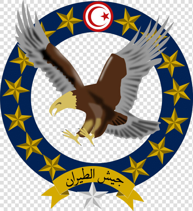 Tunisia Flag Png  Transparent PngTransparent PNG