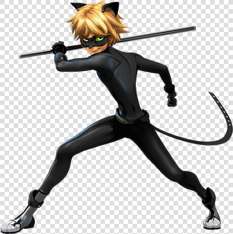 Miraculous Carapace Cat Noir  HD Png DownloadTransparent PNG