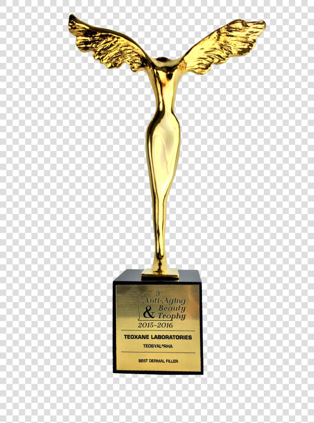 Prize And Awards   Anti Aging  amp  Beauty Trophy 2013  HD Png DownloadTransparent PNG