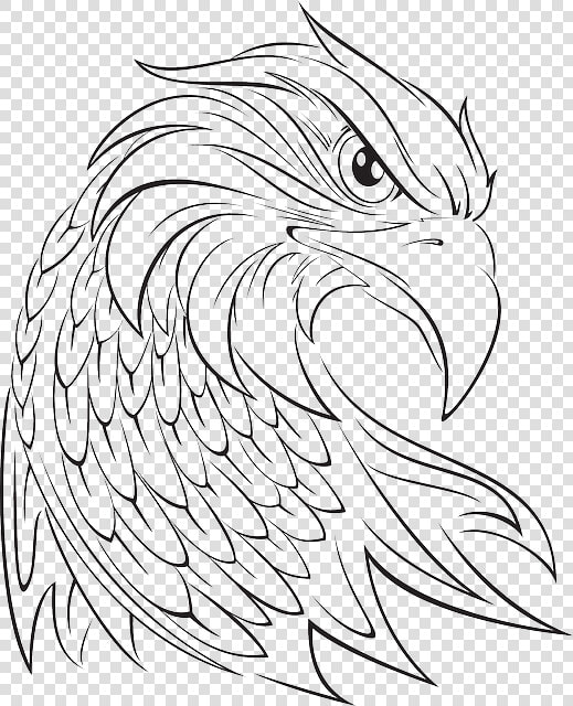 Eagle Head Vector Png   Eagle Face Tattoo Designs  Transparent PngTransparent PNG