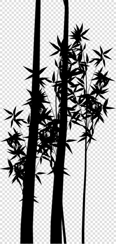 Silhouette Plant Stem Bamboo Branching Plants   Silueta De Plantas Png  Transparent PngTransparent PNG