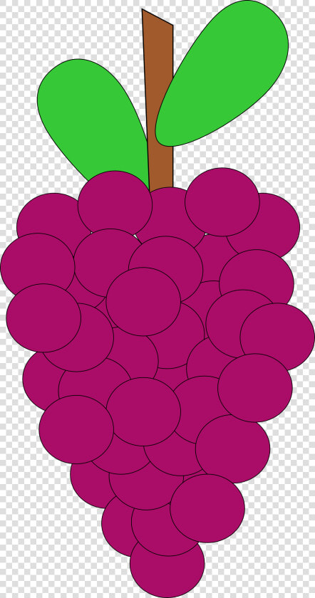 Cartoon Grape Vine   Cartoon Grape Vine Png  Transparent PngTransparent PNG