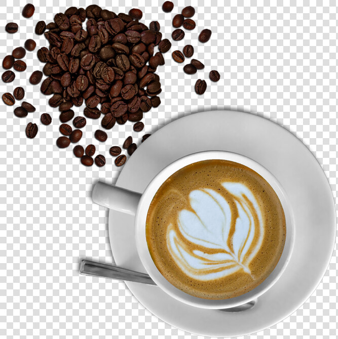 Sambella Coffee Beans And Cup   Cup Of Coffee  HD Png DownloadTransparent PNG