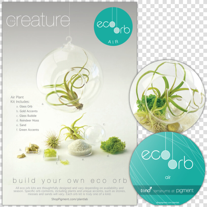 Product Package Design For The Build Your Own Eco Orb   Flyer  HD Png DownloadTransparent PNG